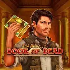 Book of Dead – slot by Play&#039;n GO, featured at frankcasino-pt.com